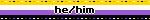 Untitled Nonbinary flag blinkie with text that says "he/him"