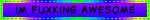 Bright purple blinkie with a rainbow border and the text "IM FUXXING AWESOME"