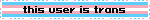 Untitled A trans flag blinkie that says "this user is trans"